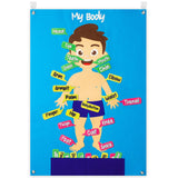 WATINC 85Pcs Body Parts Learning Felt Story Board Set 3.5Ft Preschool Human Organ Educational Teaching Storytelling Flannel Early Learning Interactive Play Kit Wall Hanging Gift for Toddlers Kids